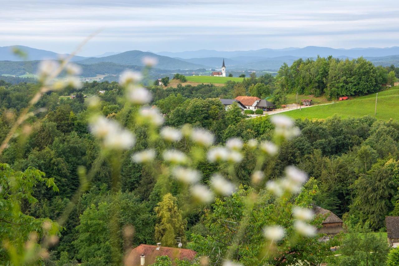 Domacija Vesel Villa Trebnje ภายนอก รูปภาพ