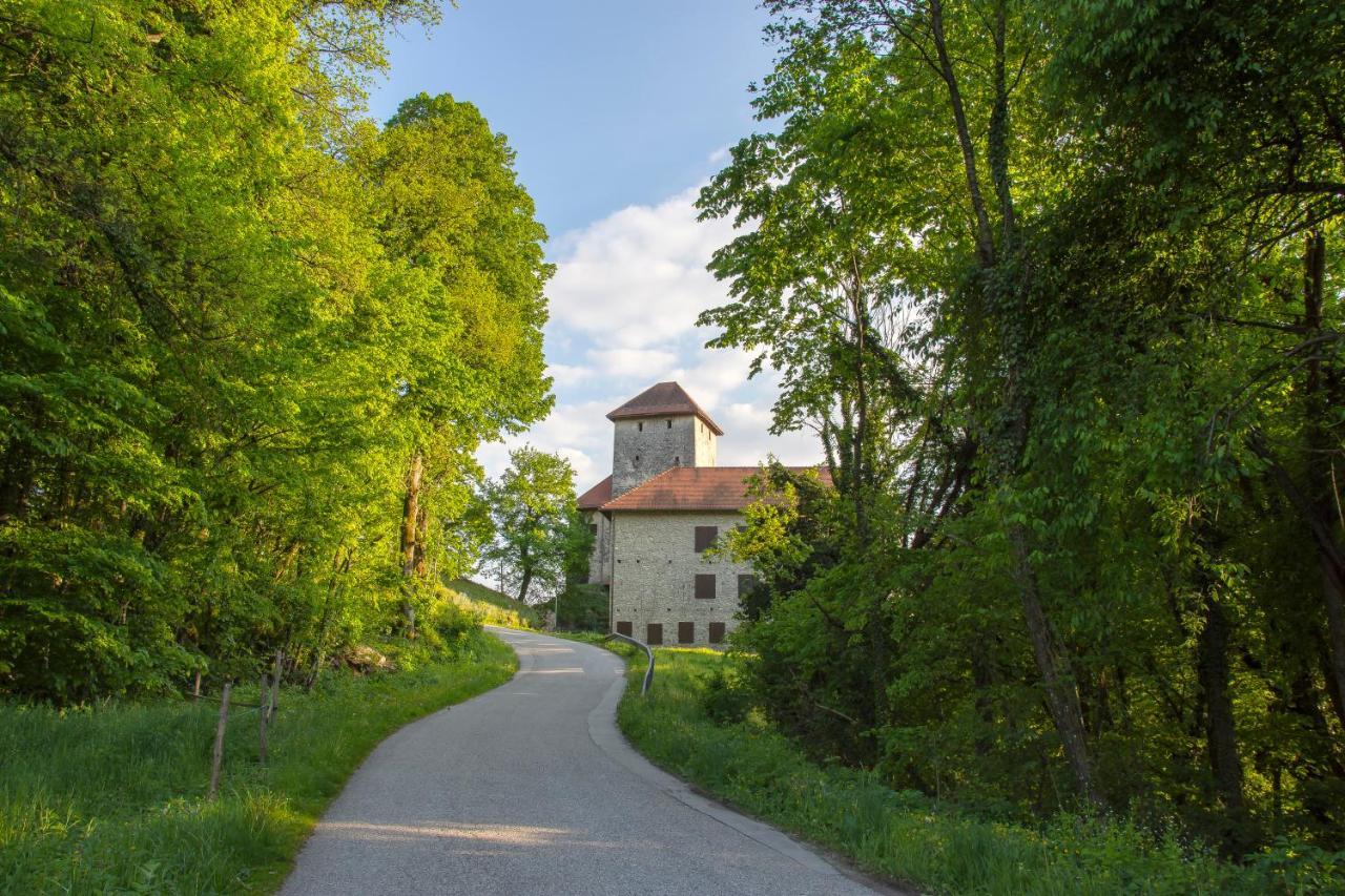 Domacija Vesel Villa Trebnje ภายนอก รูปภาพ