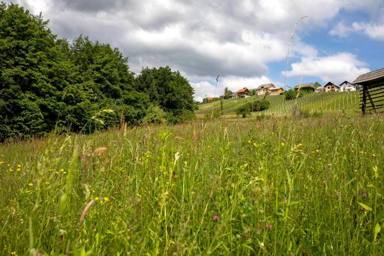 Domacija Vesel Villa Trebnje ภายนอก รูปภาพ